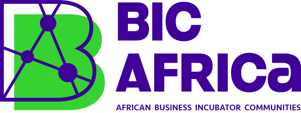 BIC Africa Acceleration Programme for Women Entrepreneurs,v2