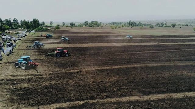 Latest Stories Image