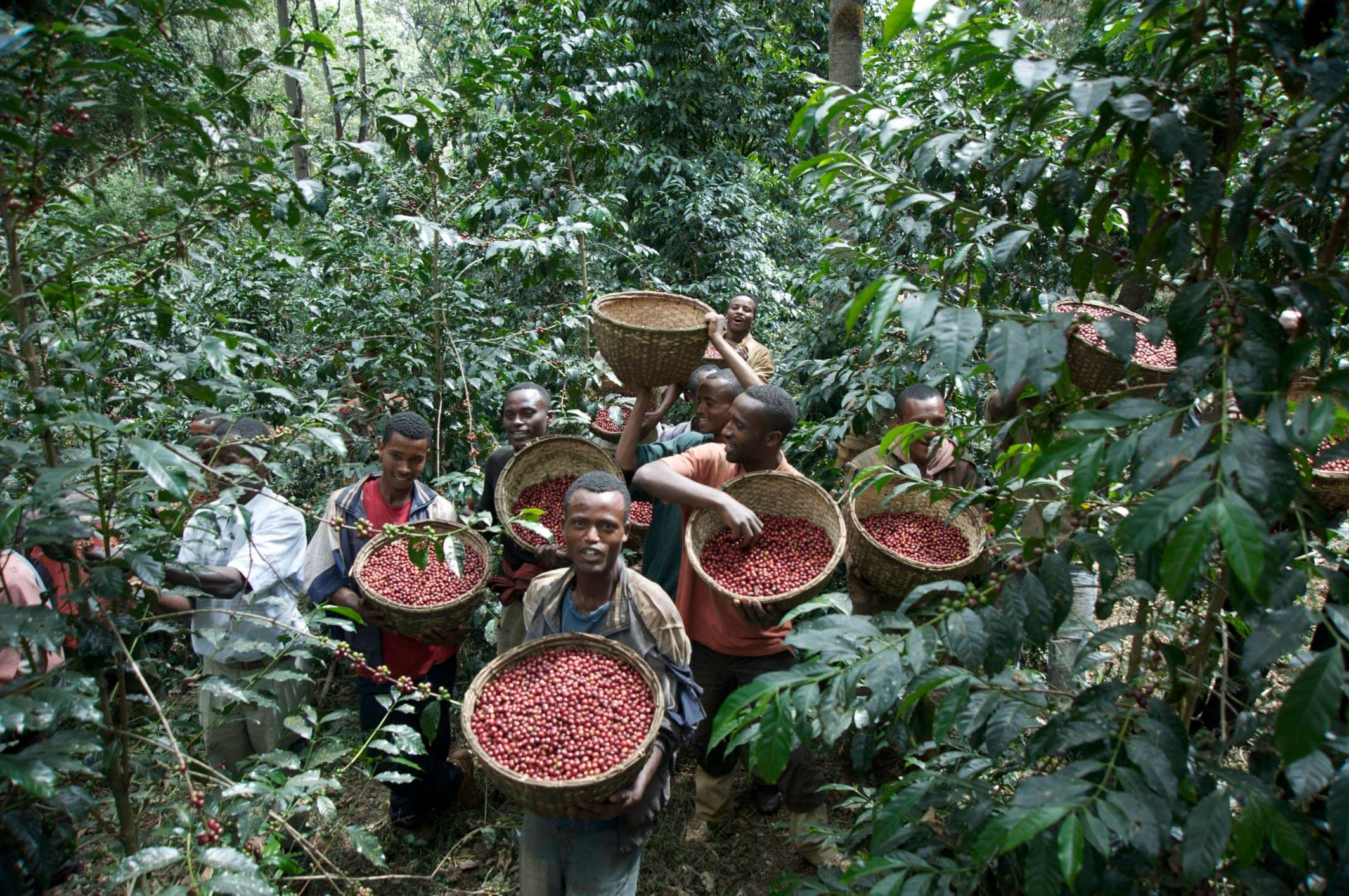 Publication Image