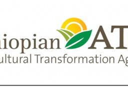 Apply for ATA’s Ethiopian Agribusiness Accelerator Platform (EAAP)