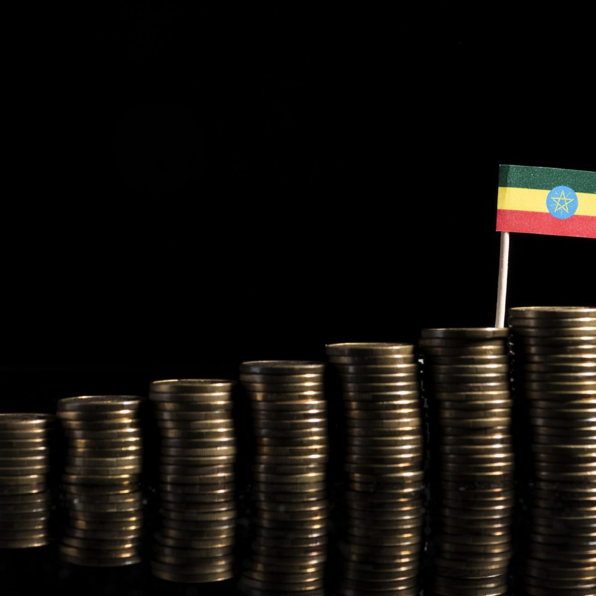 Pension Fund Investment Ethiopia