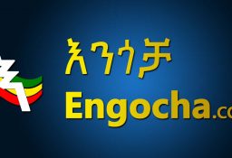 Review of the Top 3 Online Marketplaces in Ethiopia: Engocha 