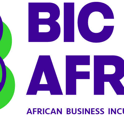 BIC Africa Acceleration Programme for Women Entrepreneurs