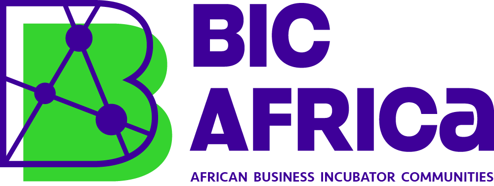 BIC Africa Acceleration Programme for Women Entrepreneurs