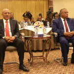 Ethiopia Ecommerce Strategy